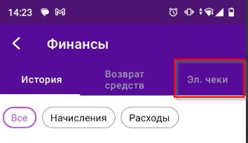 Подраздел Электронные чеки.