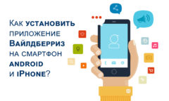 Как установить приложение Вайлдберриз на Android и iPhone?